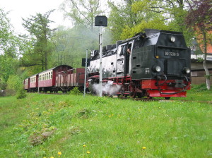 Ferienwohnung Harz Pension